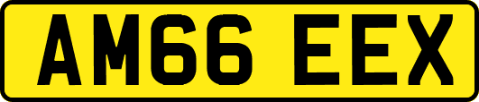 AM66EEX