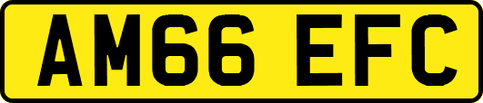 AM66EFC