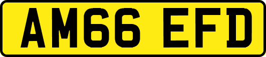 AM66EFD
