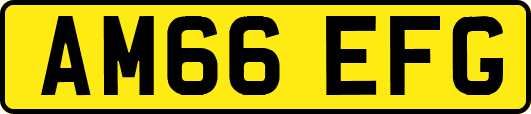 AM66EFG
