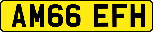 AM66EFH