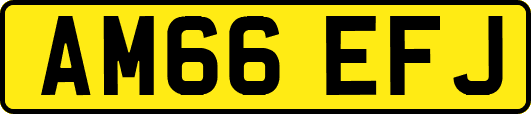 AM66EFJ