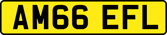 AM66EFL
