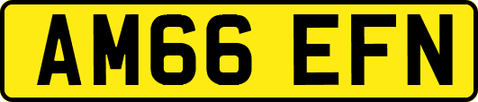 AM66EFN
