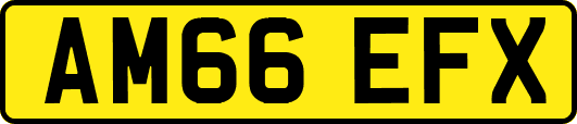 AM66EFX