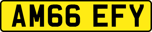 AM66EFY