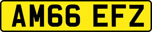 AM66EFZ