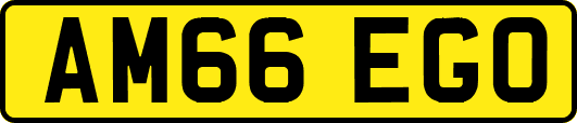 AM66EGO