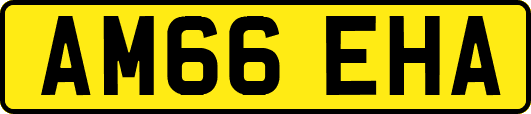 AM66EHA