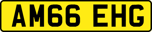 AM66EHG