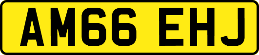 AM66EHJ