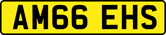AM66EHS