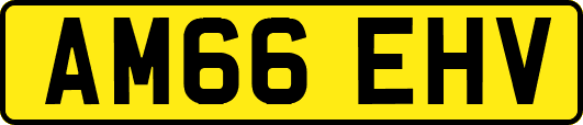 AM66EHV