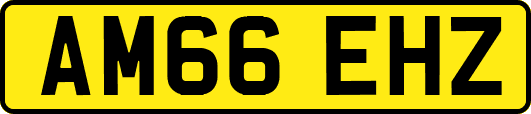 AM66EHZ