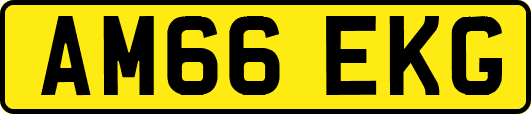AM66EKG