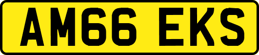 AM66EKS
