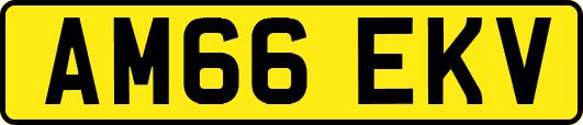 AM66EKV