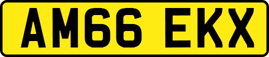 AM66EKX