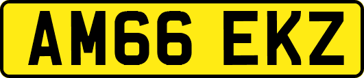 AM66EKZ