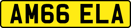 AM66ELA