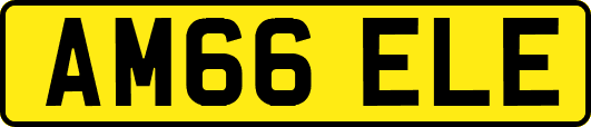 AM66ELE