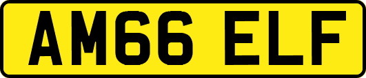 AM66ELF