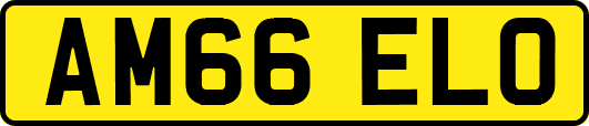 AM66ELO