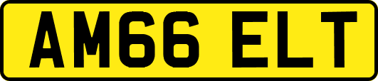 AM66ELT