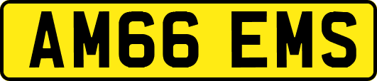AM66EMS