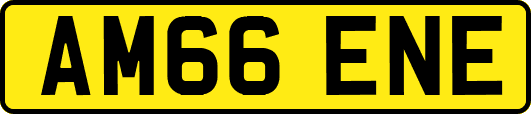 AM66ENE