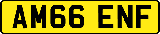 AM66ENF