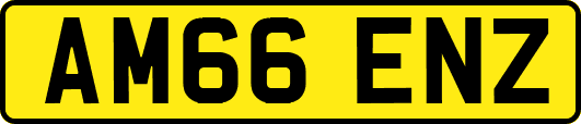 AM66ENZ