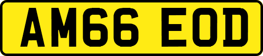 AM66EOD