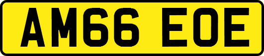 AM66EOE