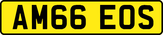 AM66EOS