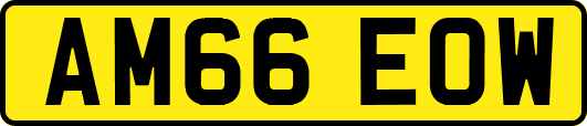 AM66EOW