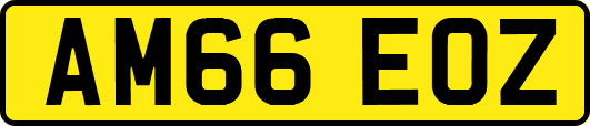 AM66EOZ