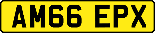 AM66EPX