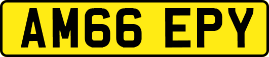 AM66EPY