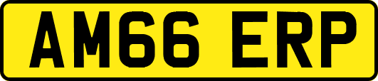 AM66ERP