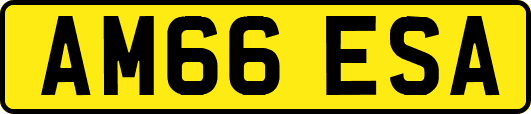 AM66ESA