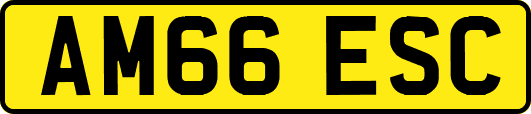 AM66ESC
