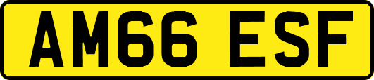 AM66ESF