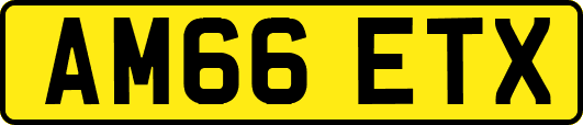 AM66ETX