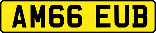 AM66EUB