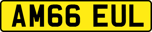 AM66EUL