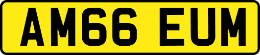 AM66EUM