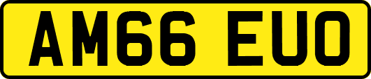 AM66EUO