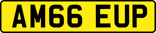 AM66EUP
