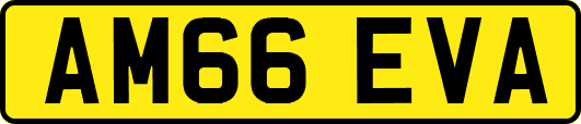 AM66EVA
